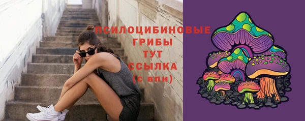 MDMA Беломорск