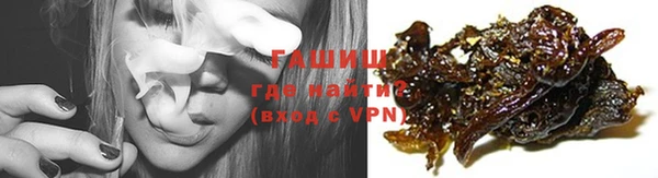 индика Белокуриха