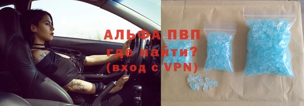 индика Белокуриха