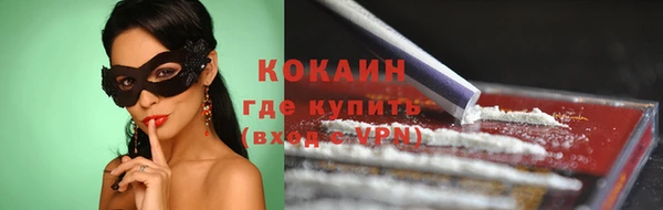 индика Белокуриха