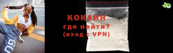 индика Белокуриха