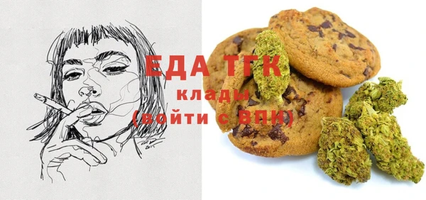 индика Белокуриха