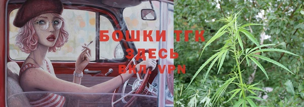индика Белокуриха